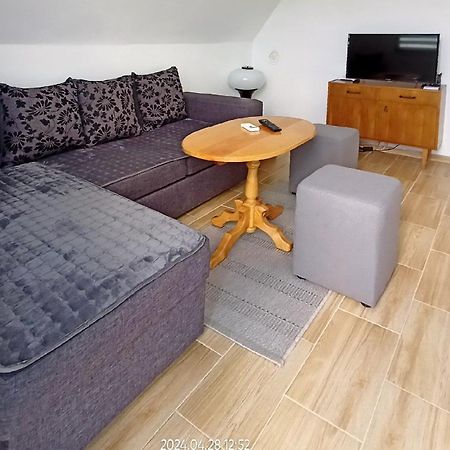 Apartman Duric Apartment Долни Милановац Екстериор снимка